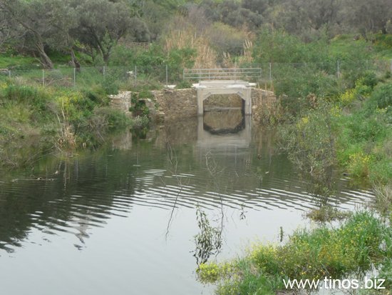 fragma_2010 015